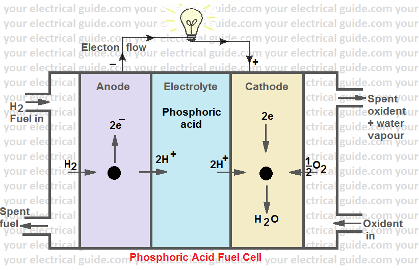 fuel cell types
